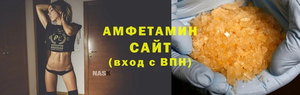 прущие грибы Рославль
