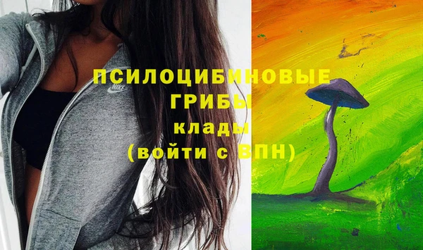 a pvp Армянск